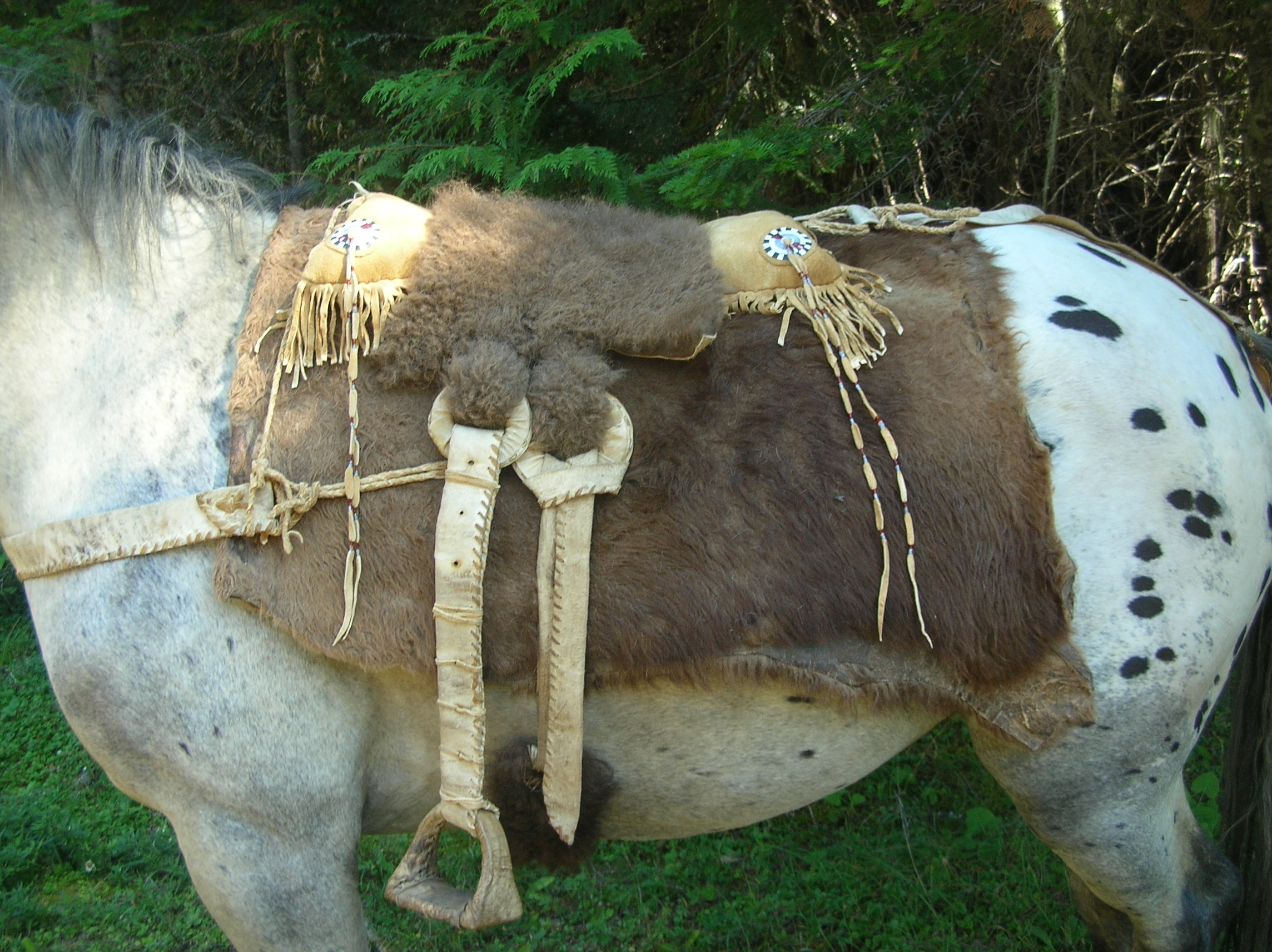 primitive saddle ile ilgili görsel sonucu
