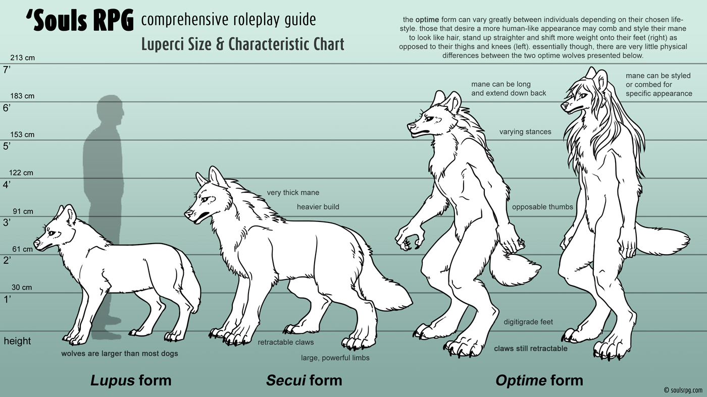 Werewolf Size Chart