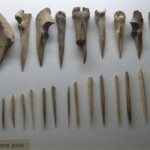 Bone Tools